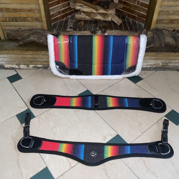 Combo profesional de alfombra abollonada, cincha y pechera