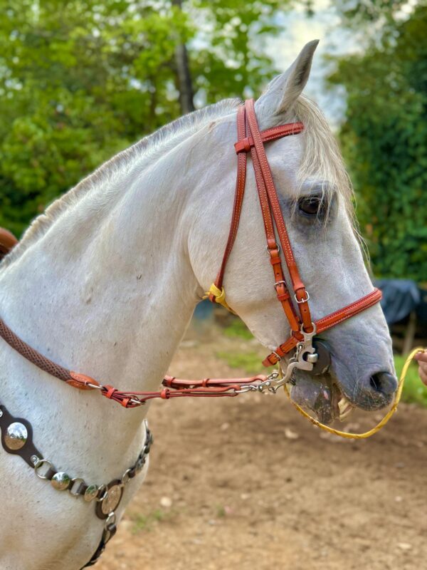 Apero de lujo en cuero natural y herrajes en acero
