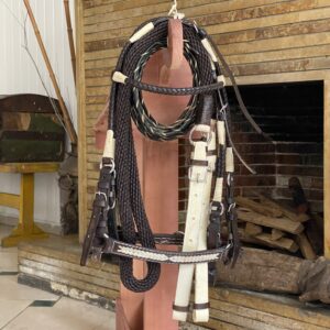 Apero de Cabeza para Caballo en Cuero Trenzado Profesional