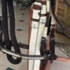 Apero de Cabeza para Caballo en Cuero Trenzado Profesional