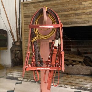 IMG_7742 Apero de Cabeza para Caballo en Cuero Reforzado – Cabalgata y Trabajo | Oferta