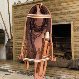 IMG_7799 Apero de gala en cuero genuino con riendas y jáquima artesanal