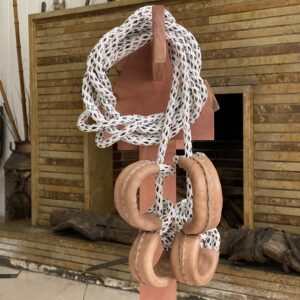 IMG_7801 Sueltas de Entrenamiento para Caballos – Control y Sincronización