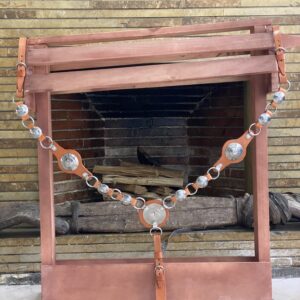 IMG_7904 Pecheras 3 puntos para Caballos