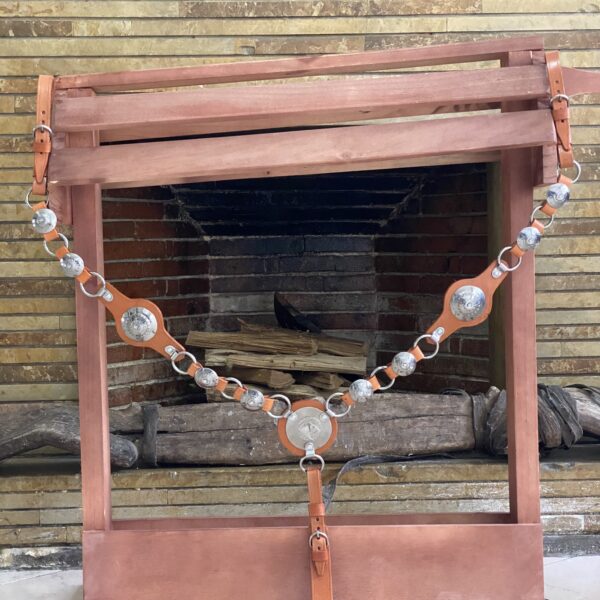 IMG_7904 Pecheras 3 puntos para Caballos