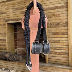 IMG_8025 Elásticos de Entrenamiento para Caballo | Mejora la Pisada