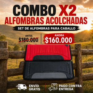 Combo X2 Alfombras Acolchadas | Comodidad a Precio Justo