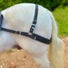 Arretranco o Tiro en Reata para Caballo | Elegantes y Resistentes