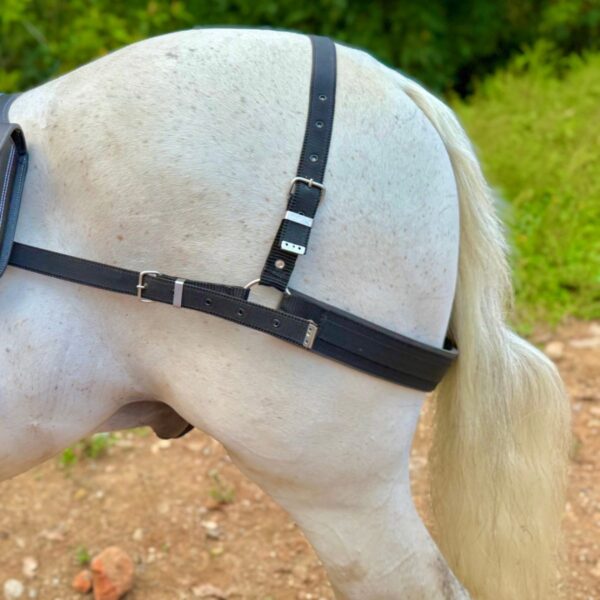Arretranco o Tiro en Reata para Caballo | Elegantes y Resistentes