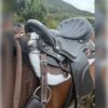 Tereque Premium Marrón para Caballo | Comodidad y lujo de alto nivel