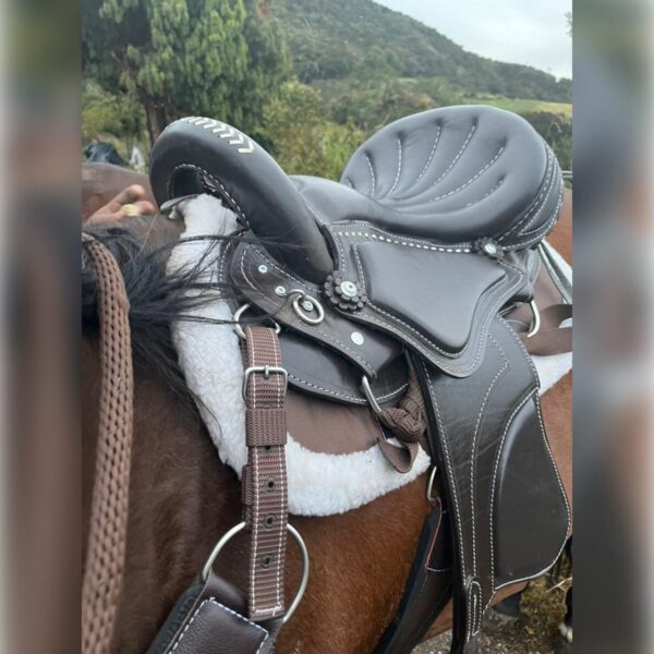 Tereque Premium Marrón para Caballo | Comodidad y lujo de alto nivel